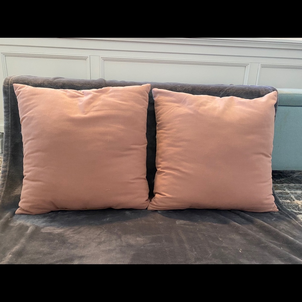 Throw Pillows - Picture 2 of 4